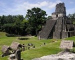 Tikal2-180×130